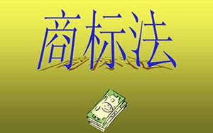 2017年INTA大(dà)會(huì)總結，來自數字化的(de)挑戰